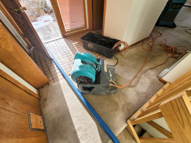 Best Basement water damage restoration  in Norton, VA