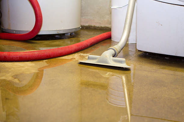 Best Emergency water damage restoration  in Norton, VA