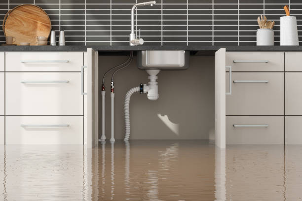 Best 24-hour water damage restoration  in Norton, VA