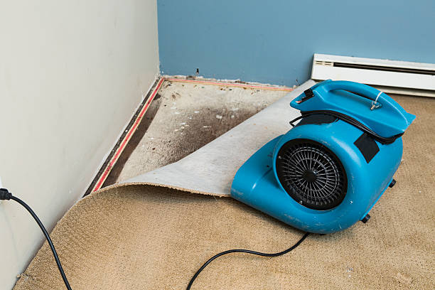 Best Water damage cleanup near me  in Norton, VA